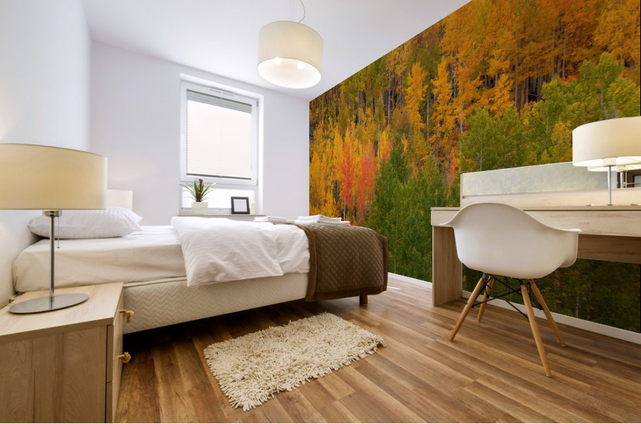 AUTUMN CONTRAST Mural print