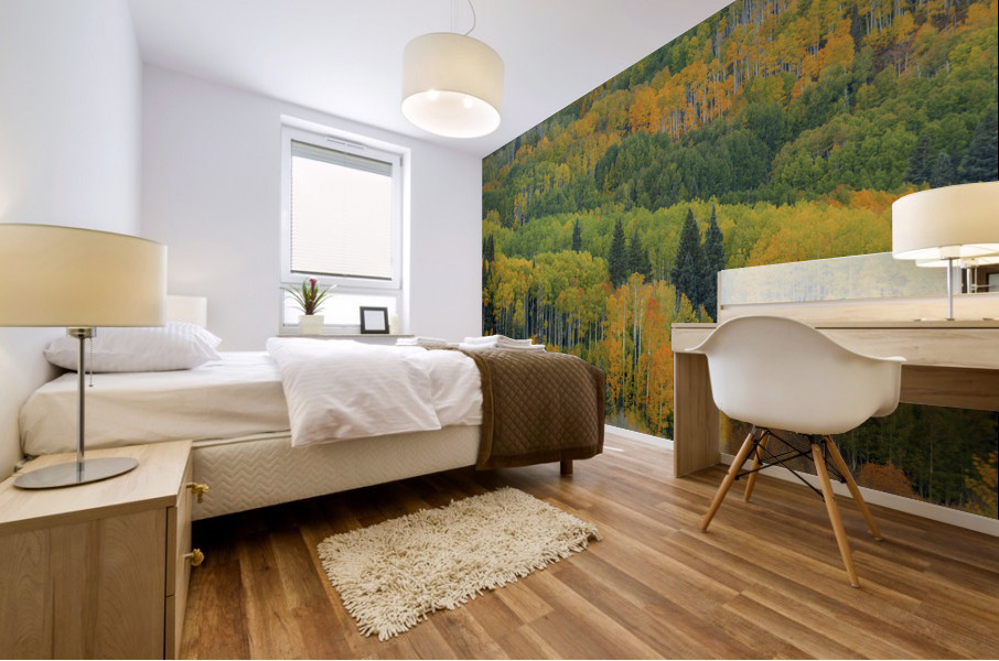 AUTUMN TRANSITION Mural print
