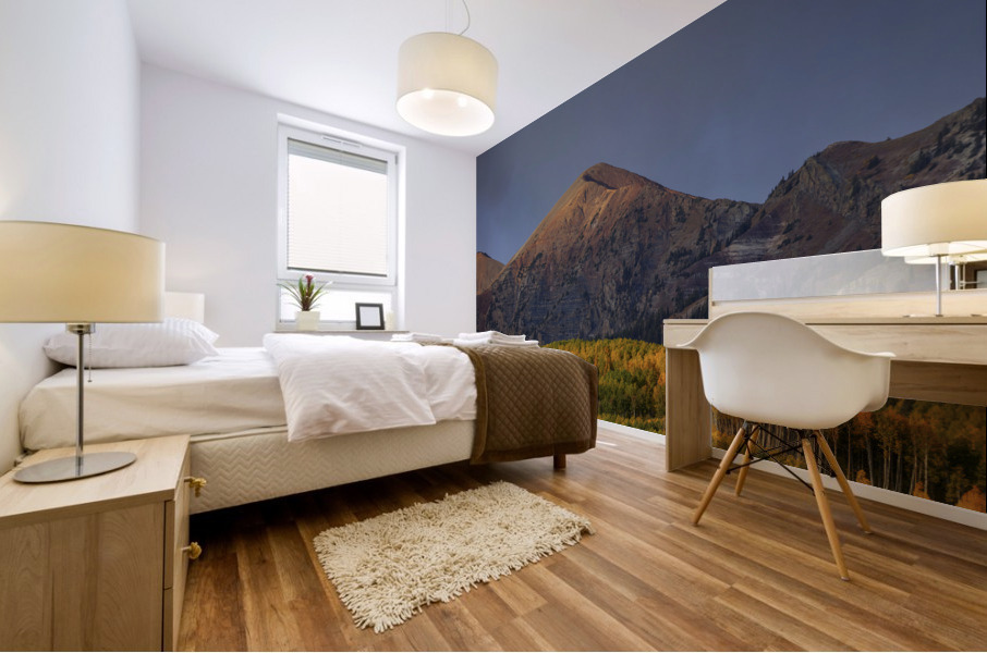 LIGHT FROM ON HIGH Mural print