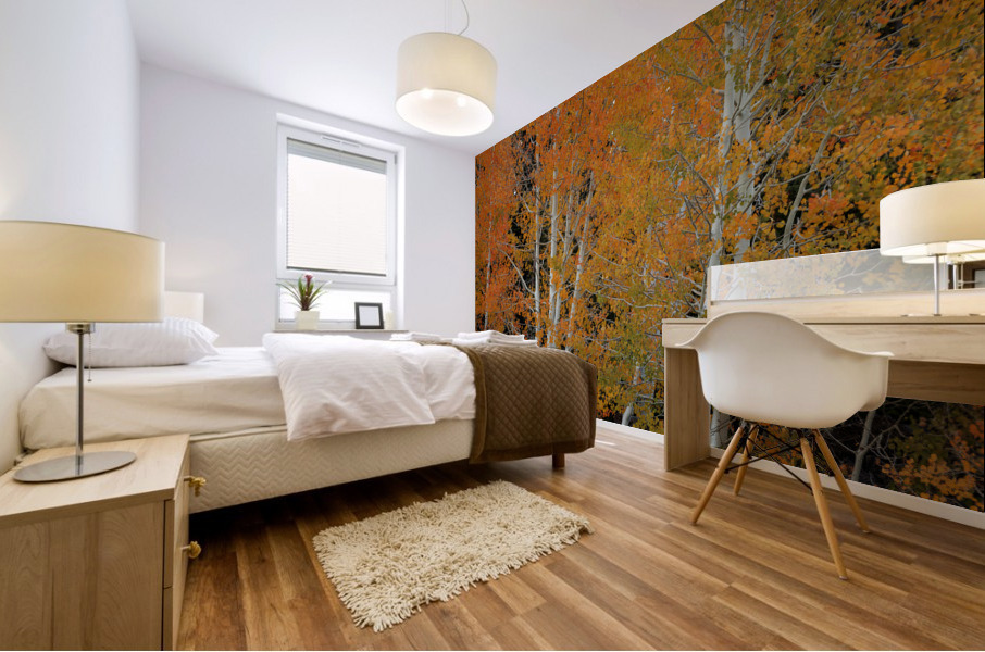 RED ORANGE DELIGHT 2 Mural print