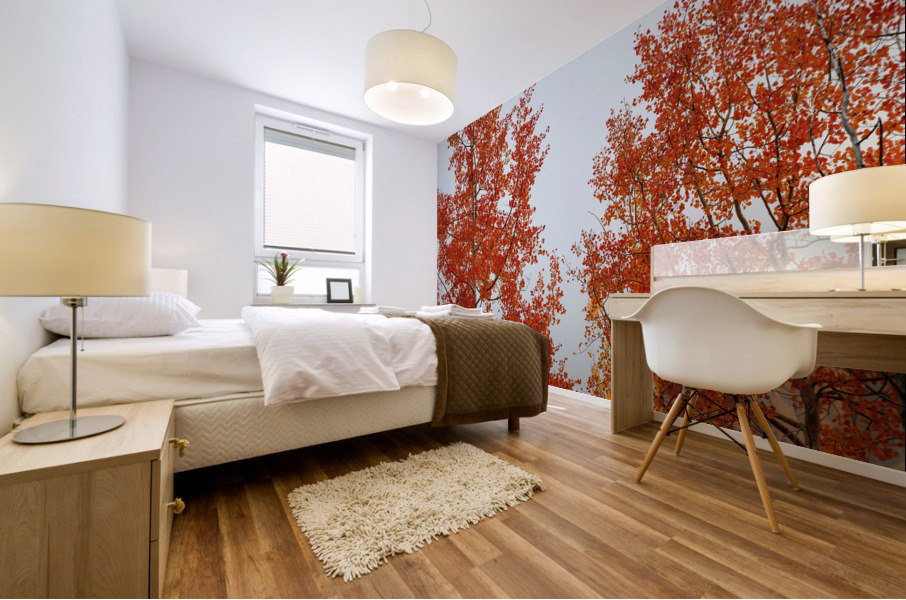 RED ORANGE TRANSFORMATION 2 Mural print