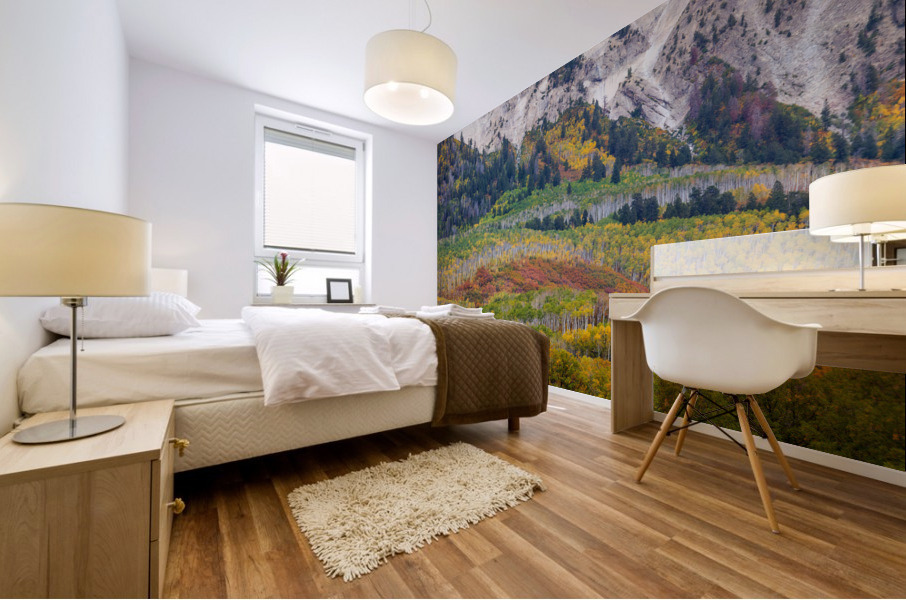 Up Against A Wall Mural print