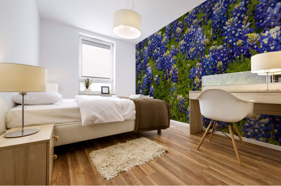 Bluebonnets   Pano Mural print