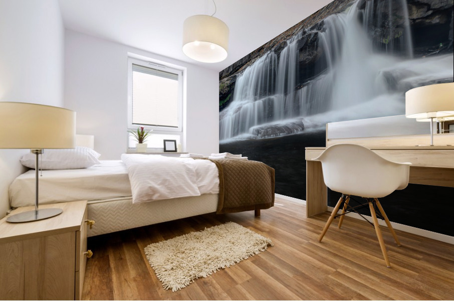 Flow 2 Mural print