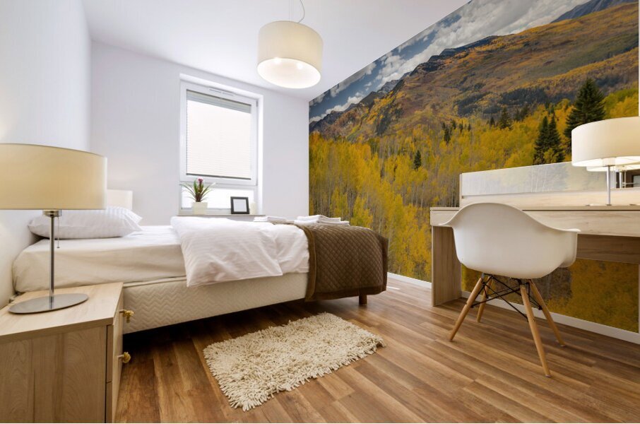 McClure Pass 2 Mural print