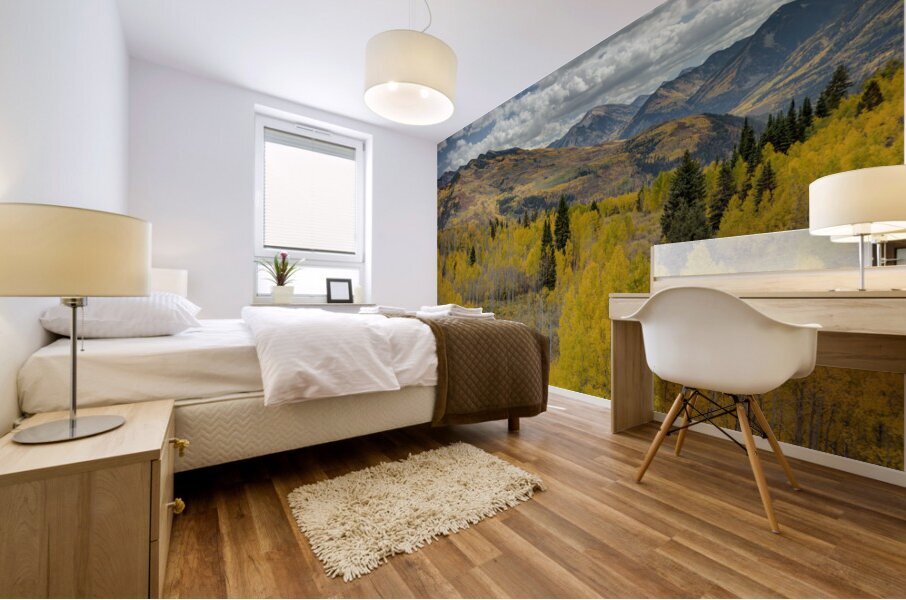 McClure Pass 1 Mural print
