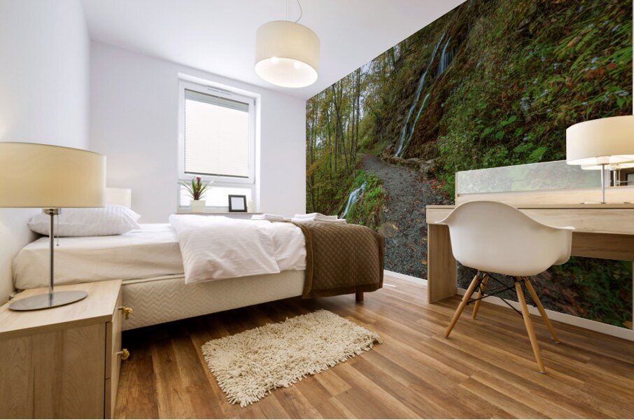 Passing Between Waterfalls Mural print