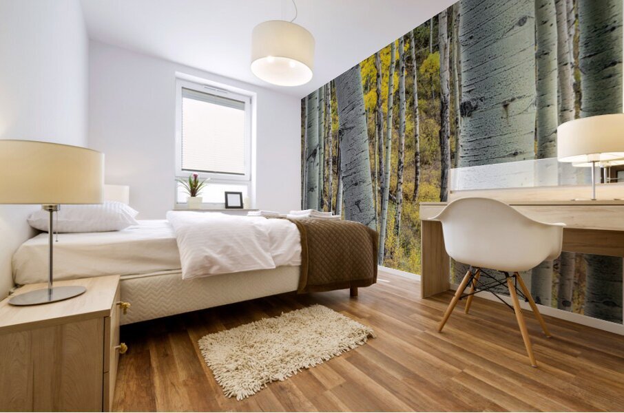 Aspen Trunks 2 Mural print
