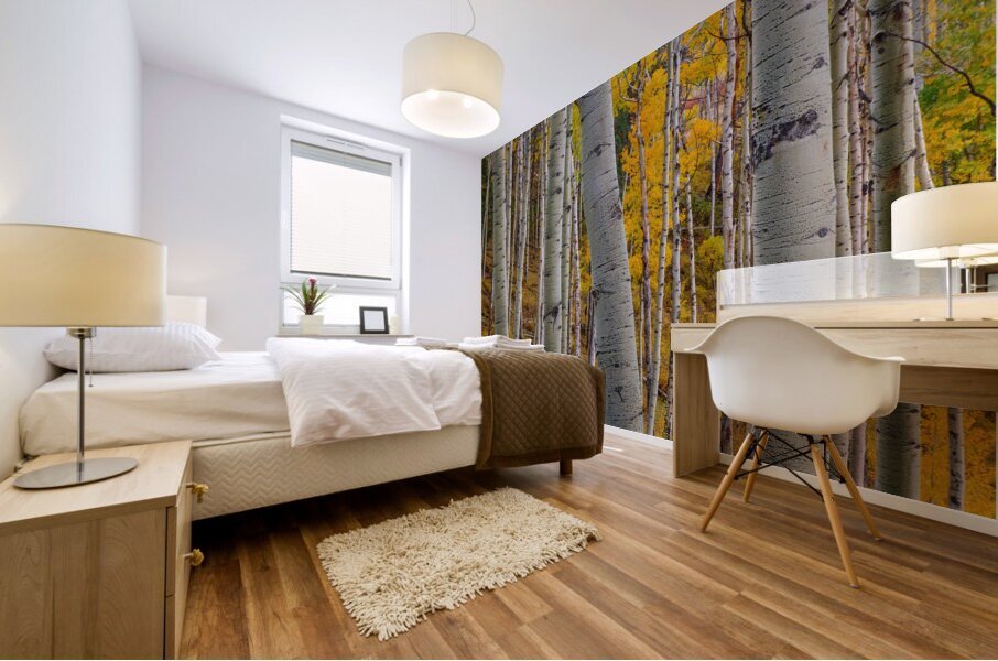 Aspen Trunks 1 Mural print