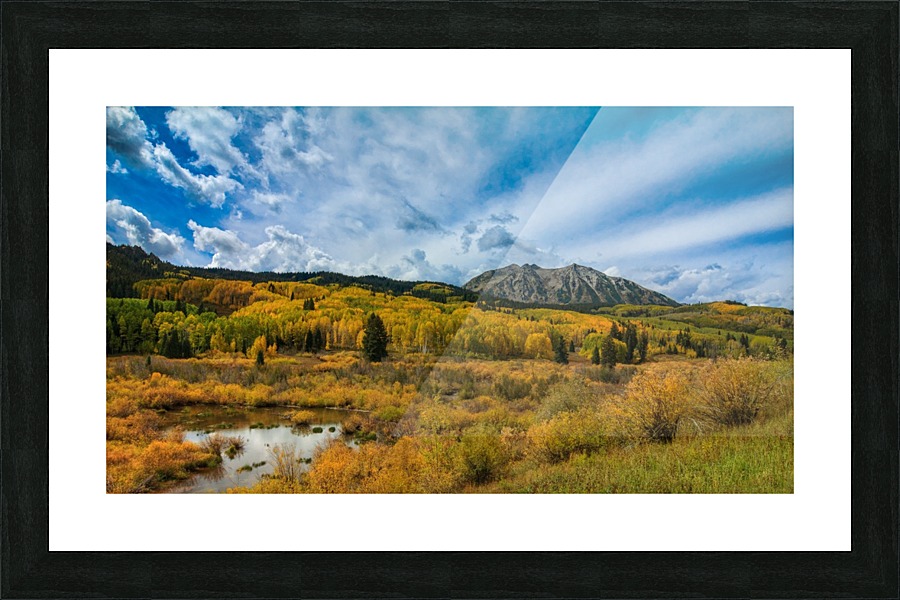AUTUMN BLAZE Picture Frame print
