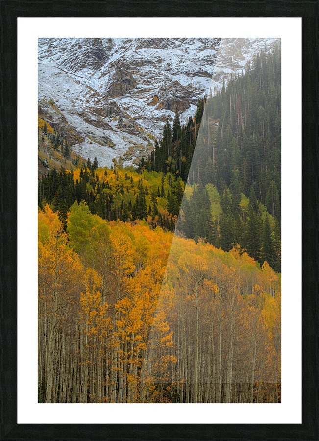 ASPEN  RISE Picture Frame print
