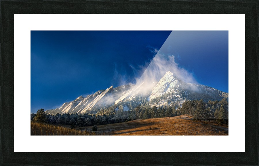 FROZEN WHIMSEY Picture Frame print