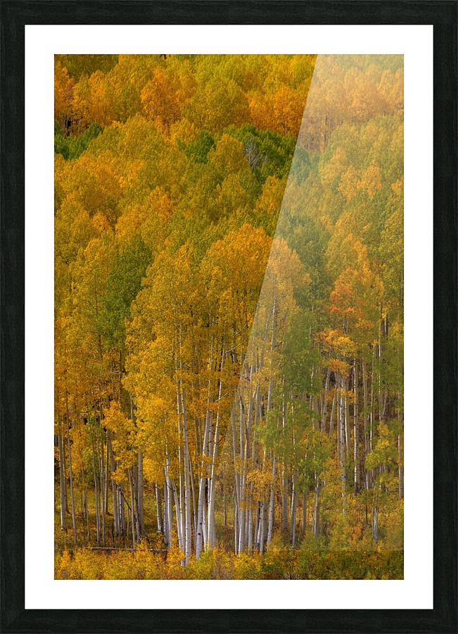 STANDING PROUD Picture Frame print