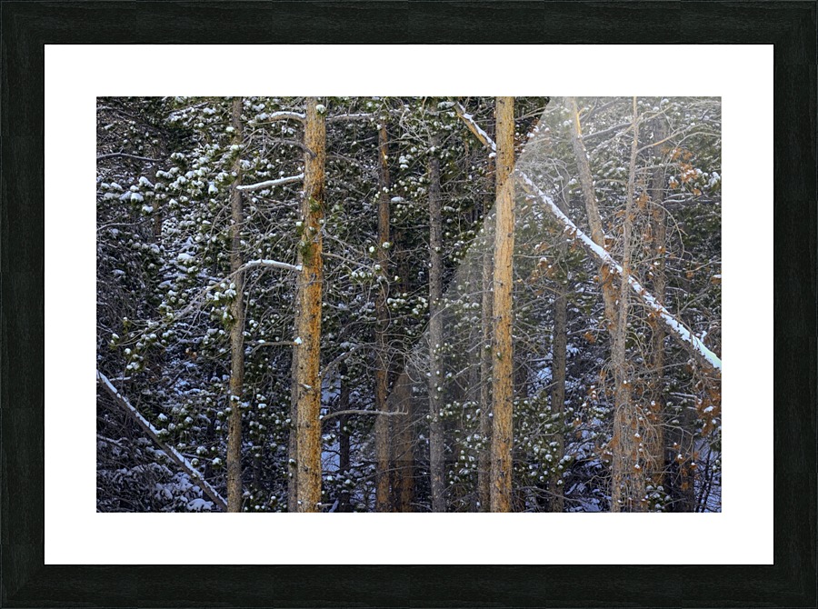 SNOW OUTLINES Picture Frame print