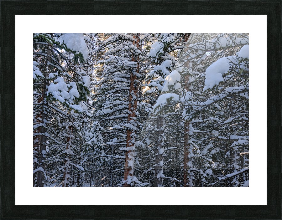 SNOWBOUND Picture Frame print