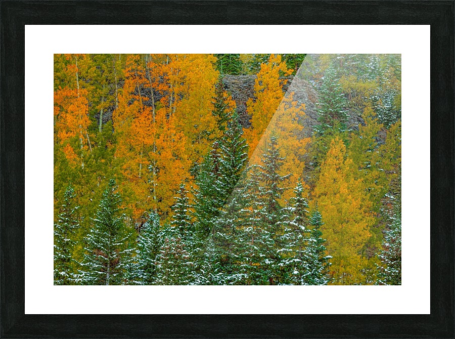 COLOR TRANSITION Picture Frame print