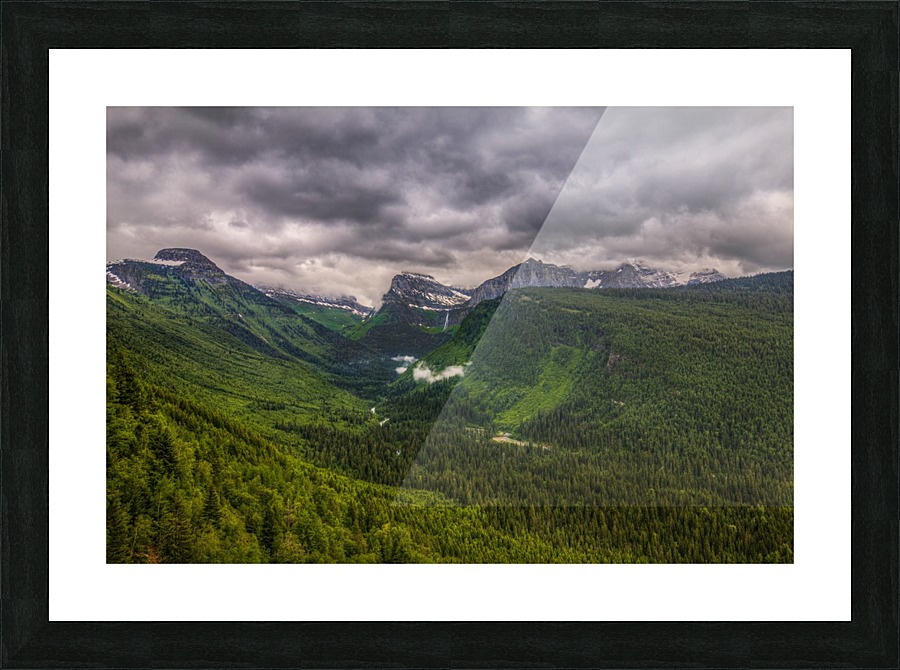 GOING GREEN Picture Frame print