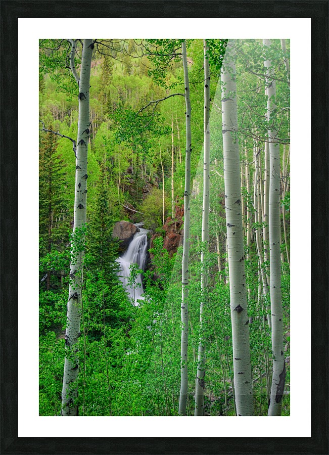 WILDERNESS FALLS Picture Frame print