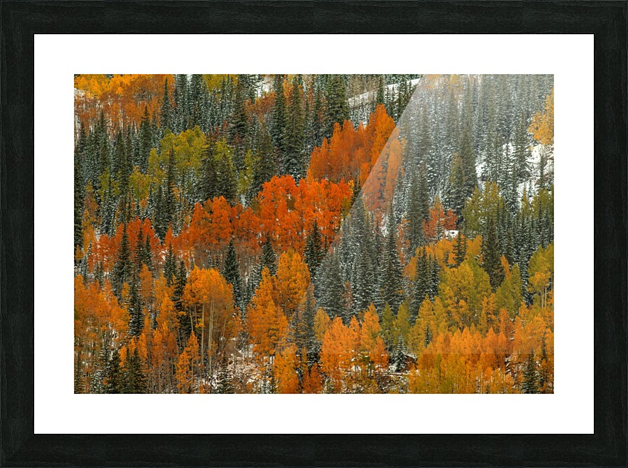 ORANGE FIRE Picture Frame print
