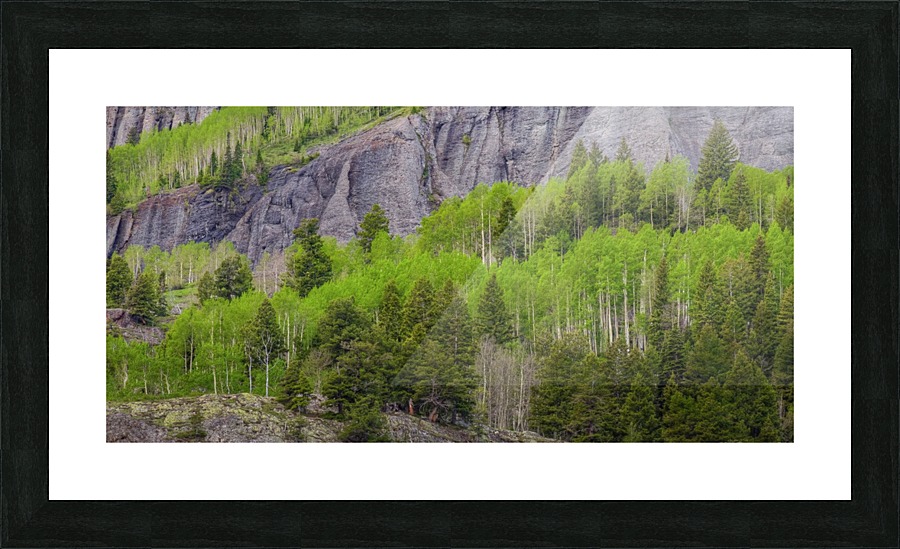 GREEN DREAM Picture Frame print