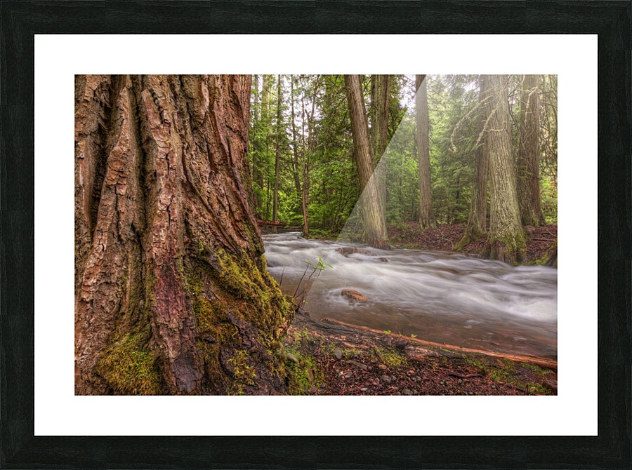 WOODSY Picture Frame print