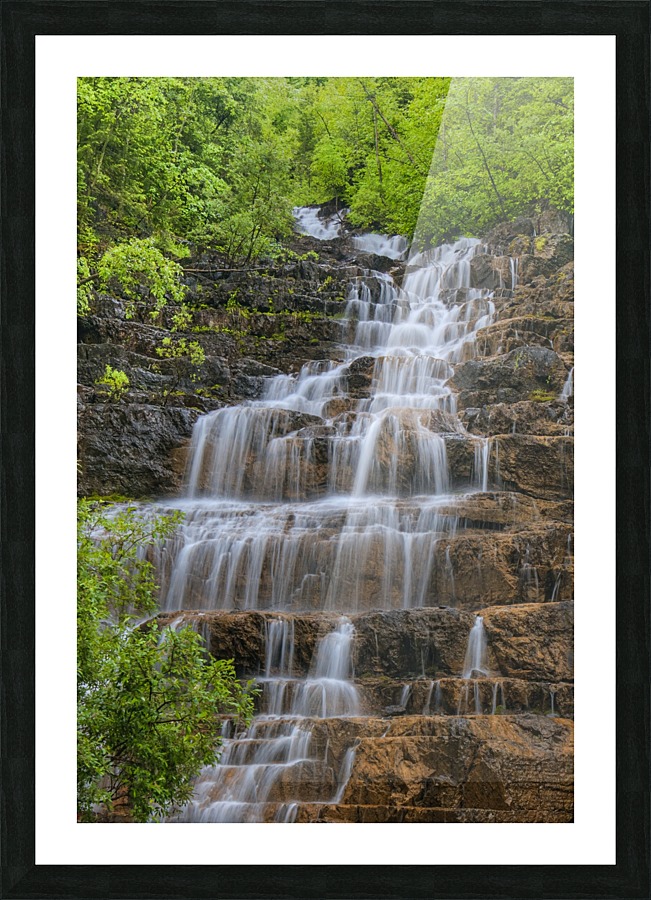 FLOWING GRACE Picture Frame print