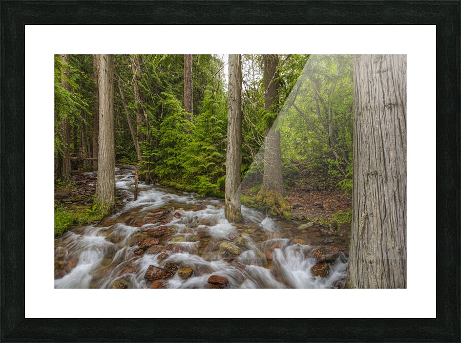 WATER PATH Picture Frame print