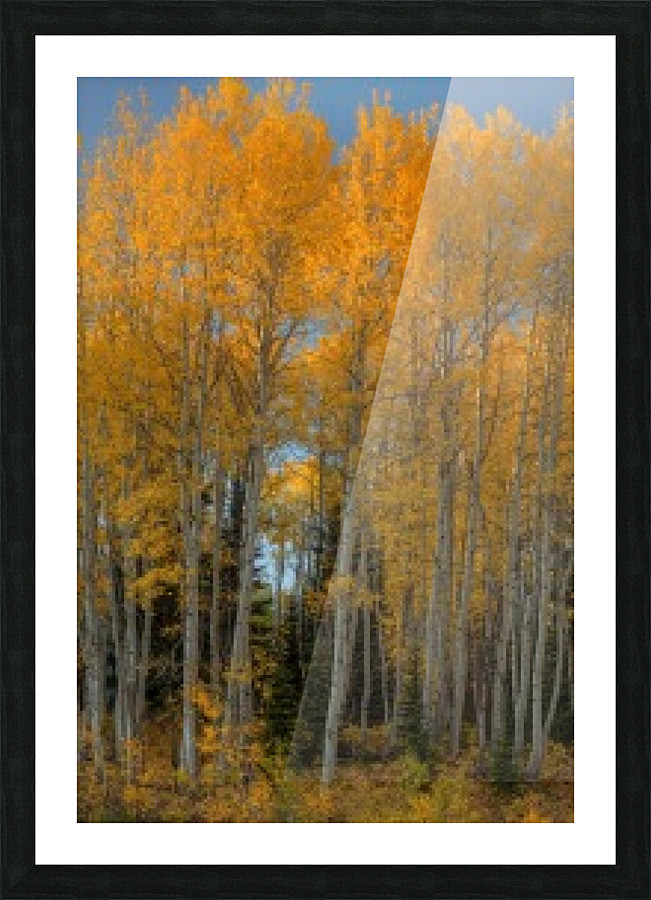 AUTUMN BONFIRE Picture Frame print