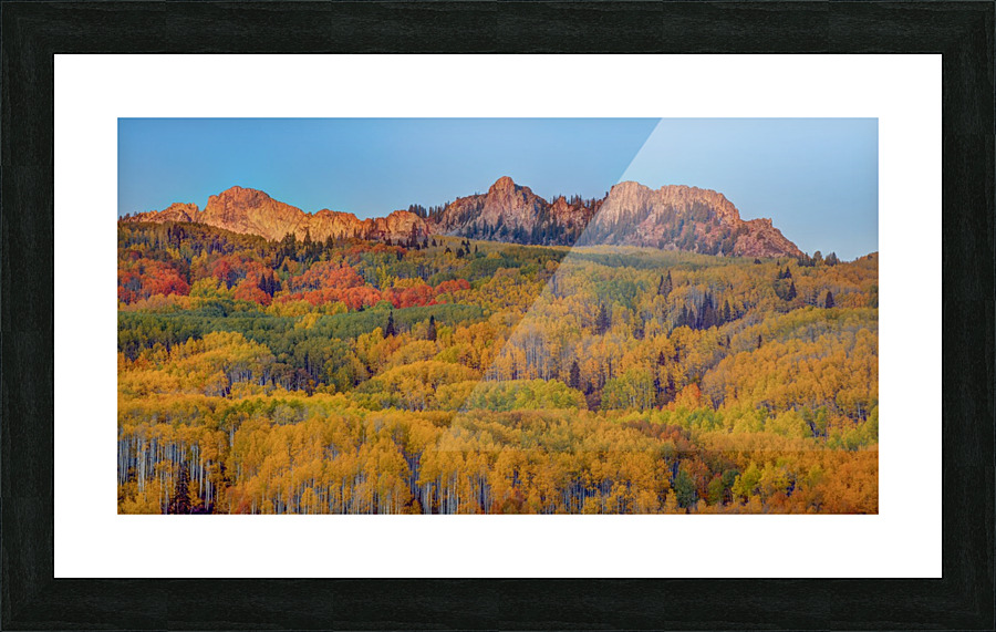 AUTUMN SHOWCASE-1 Picture Frame print