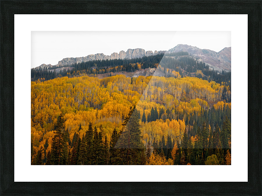 DINOSAUR BACK AUTUMN Picture Frame print