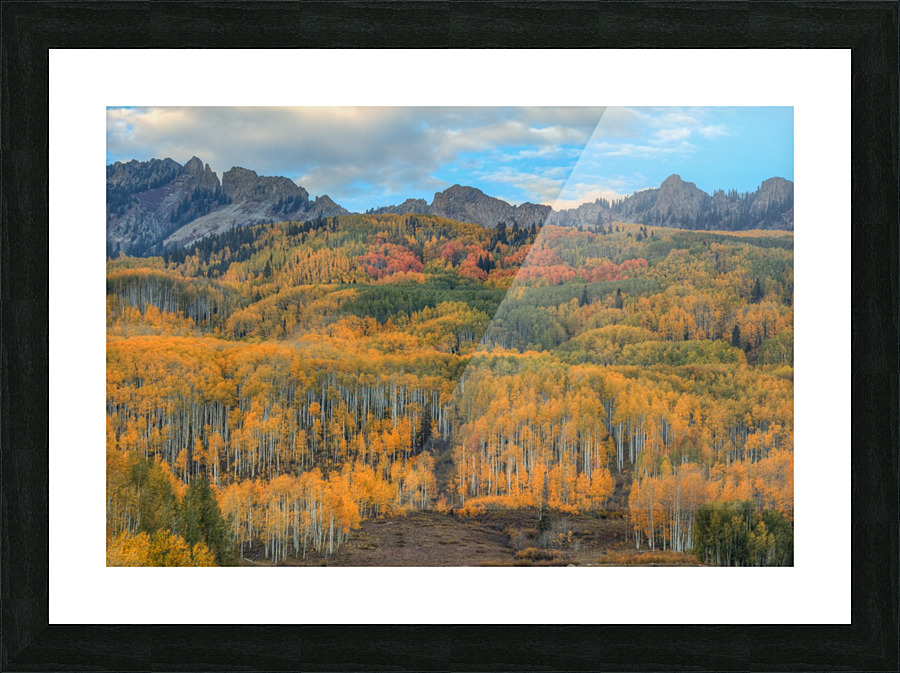 AUTUMN SHOWCASE-2 Picture Frame print