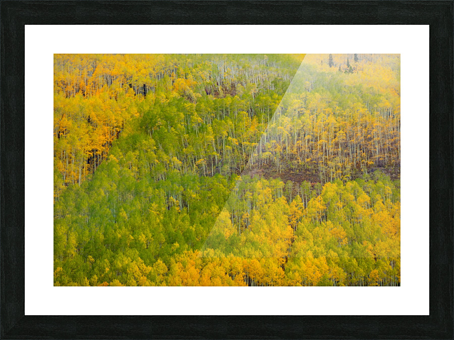 TRANSITION  Picture Frame print