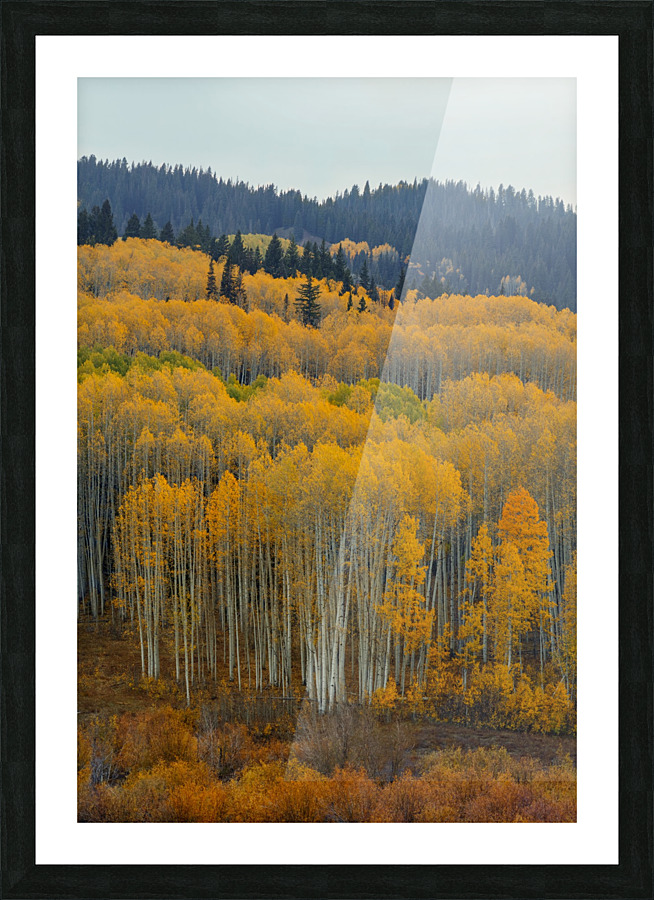 UNITED WE STAND-2 Picture Frame print
