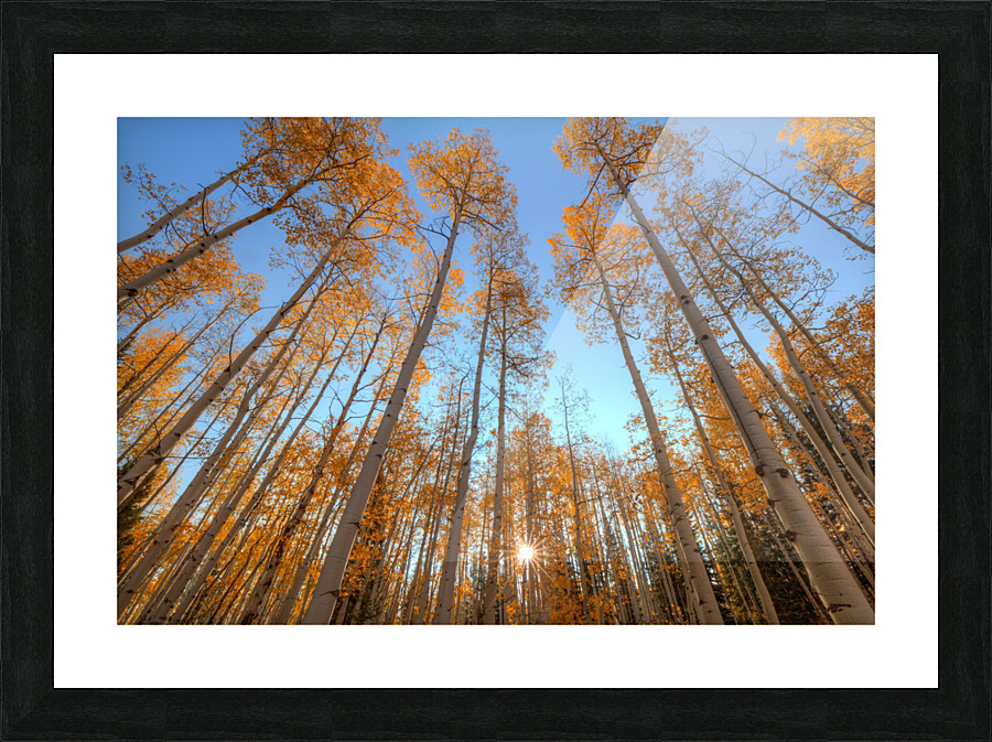 AUTUMN STARSHINE Picture Frame print