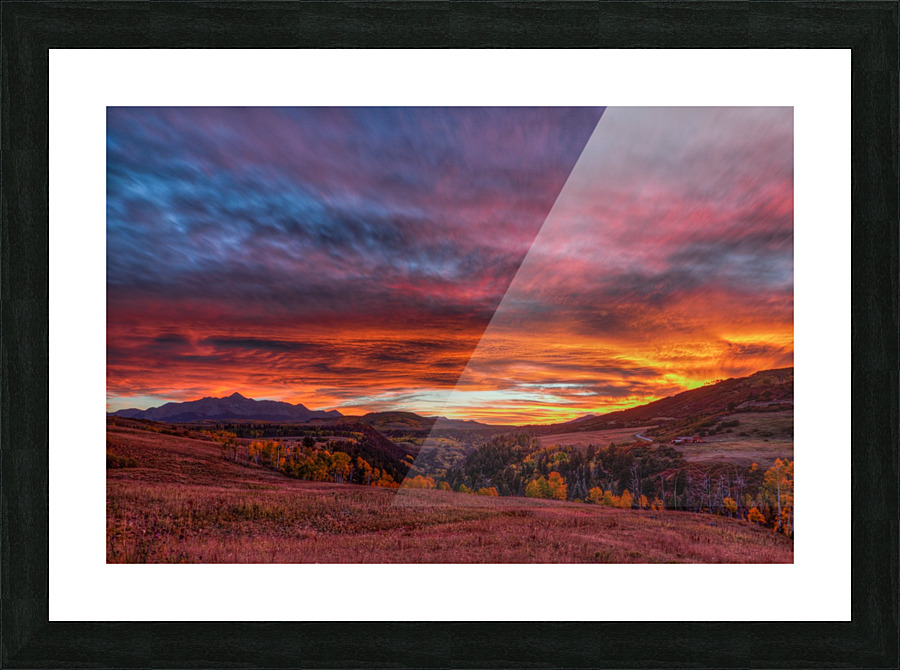 CAPTIVATED BY THE LIGHT Picture Frame print