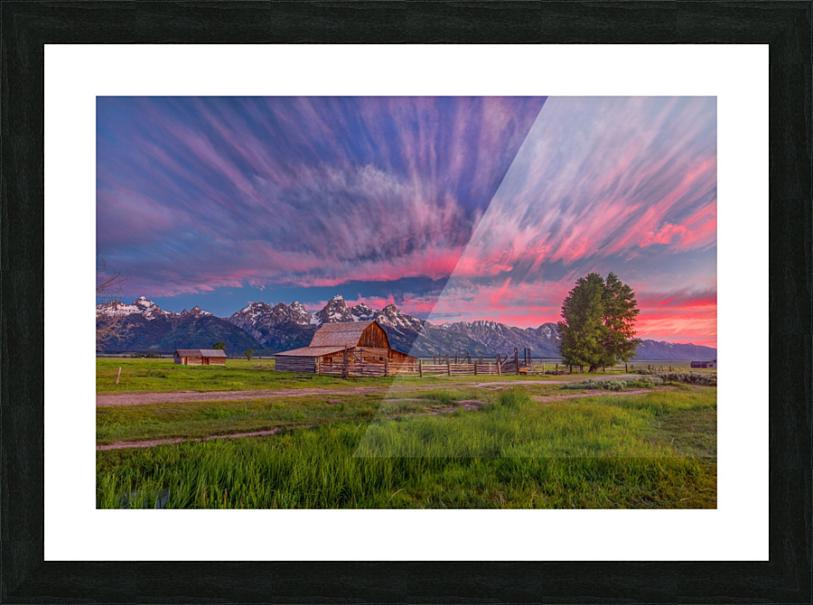BENEATH TETON GLORY  Picture Frame print
