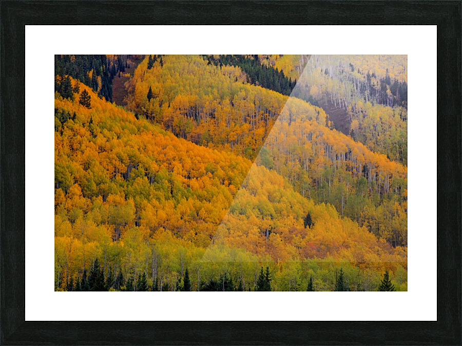 AUTUMN METAMORPHOSIS Picture Frame print