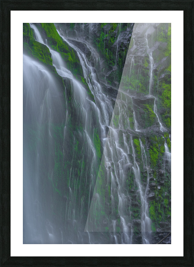 FLOWING GRACE Picture Frame print