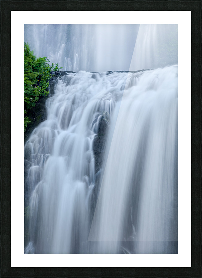 SHOWER CURTAINS Picture Frame print