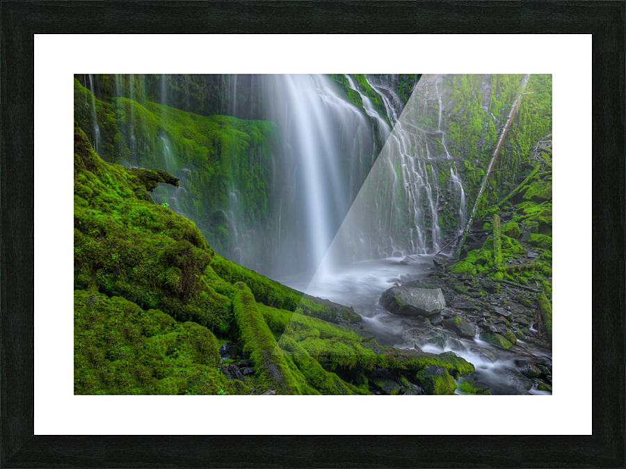 SEEING BEYOND THE VEIL Picture Frame print