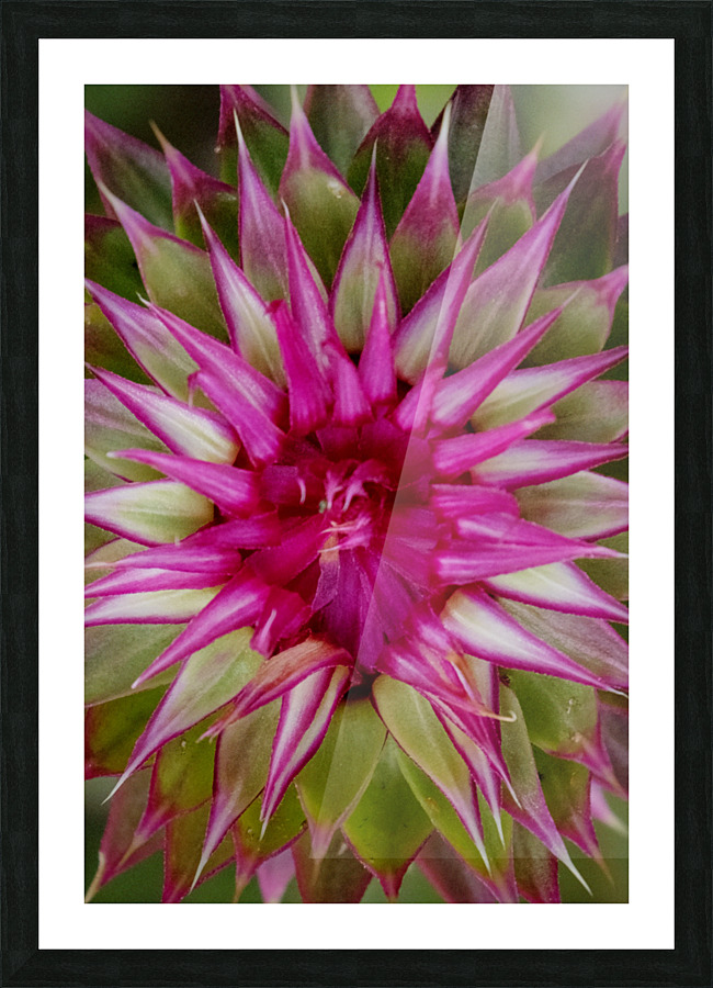 STARBURST Picture Frame print