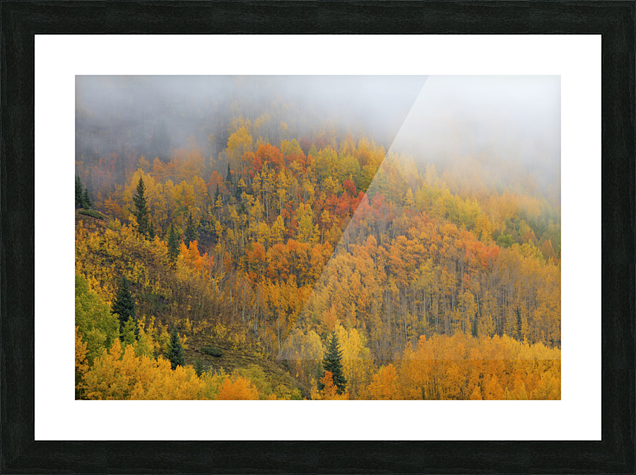 EMERGENCE Picture Frame print