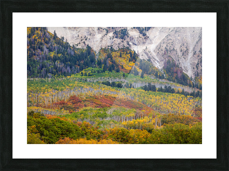 Up Against A Wall Picture Frame print
