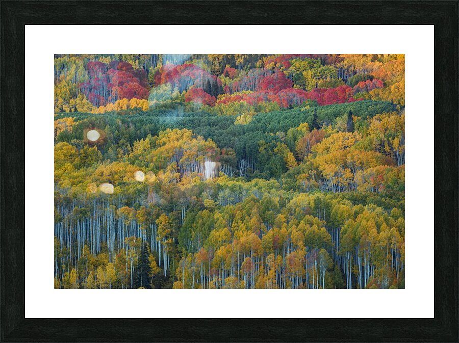 Aspen Mountain Picture Frame print