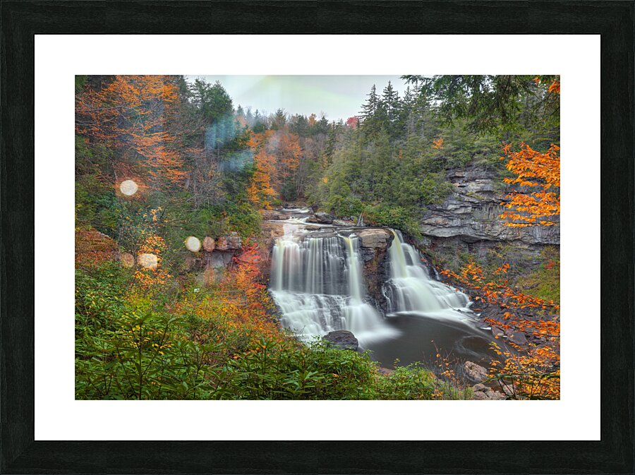 Surrounded By Color Picture Frame print