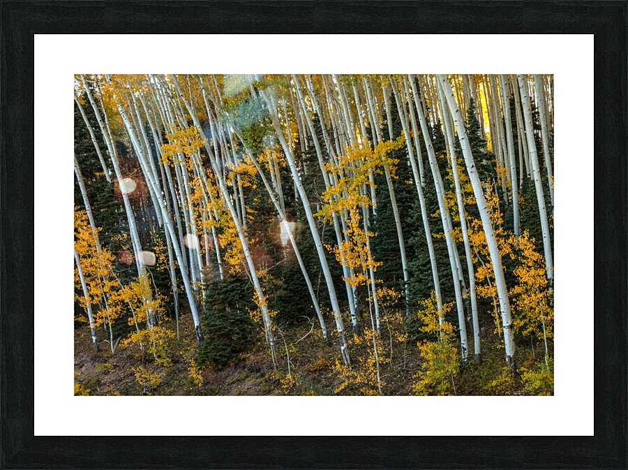 Willing To Bend Picture Frame print