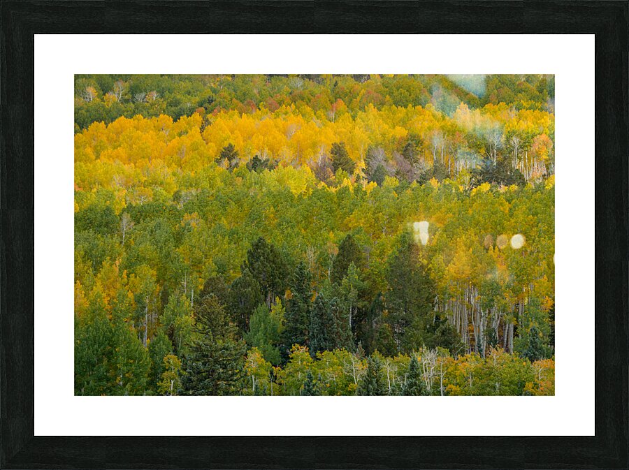 Changes Picture Frame print