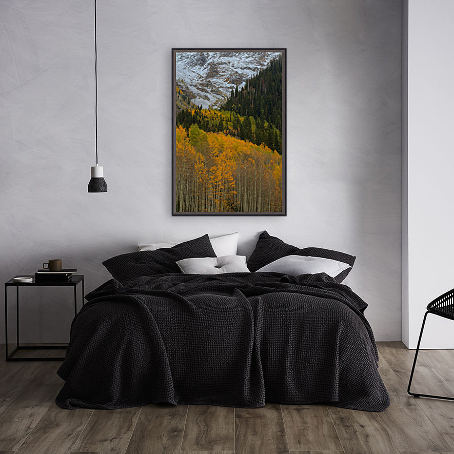 ASPEN  RISE Reproduction