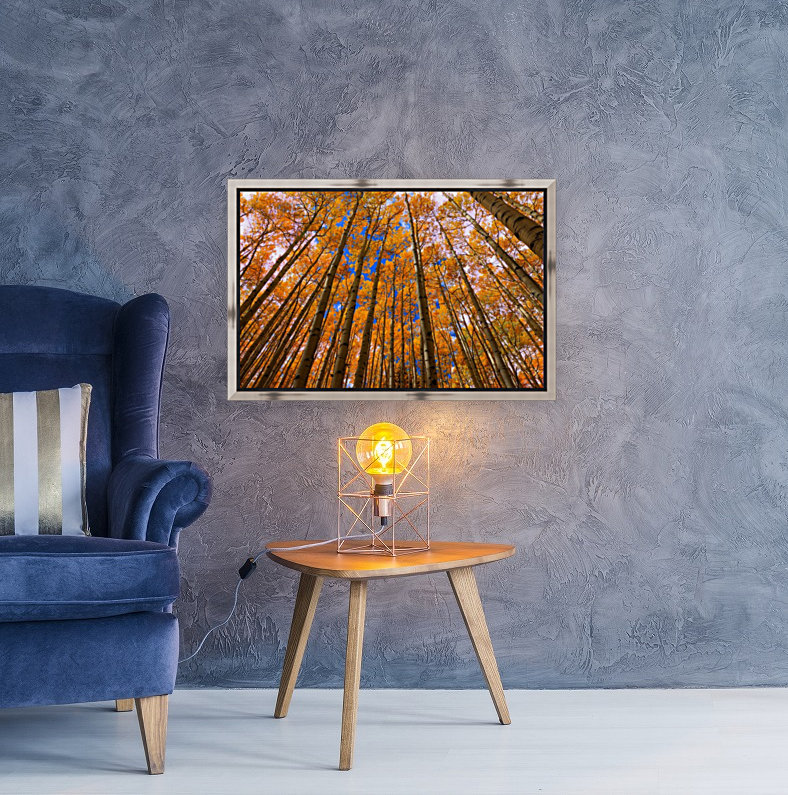 ORANGE GROVE Reproduction