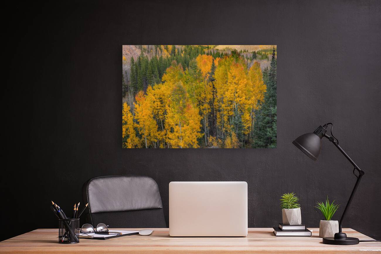 Autumn Vision Reproduction